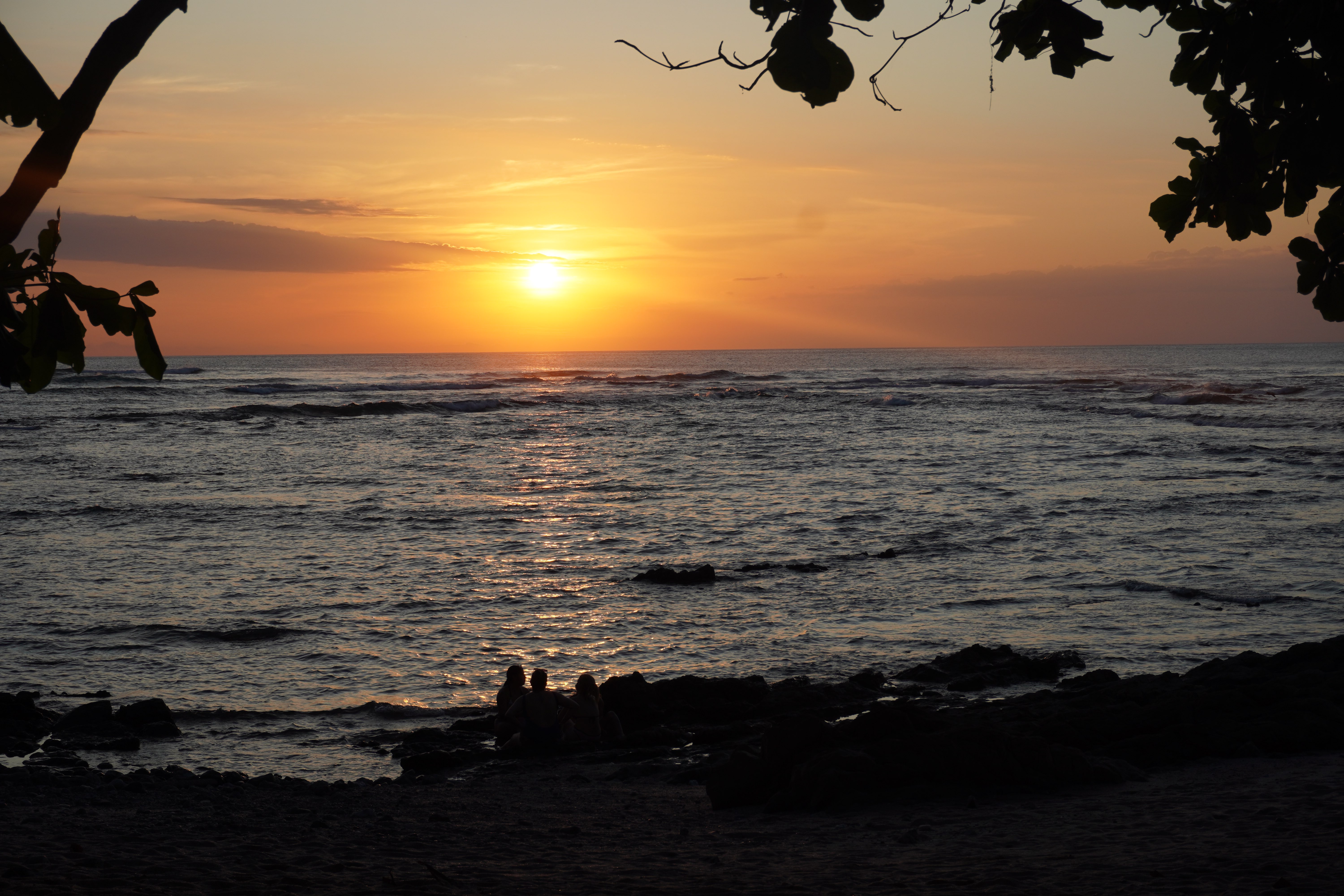 Tropical sunset over ocean with silhouetted foliage and people on rocky shoreline