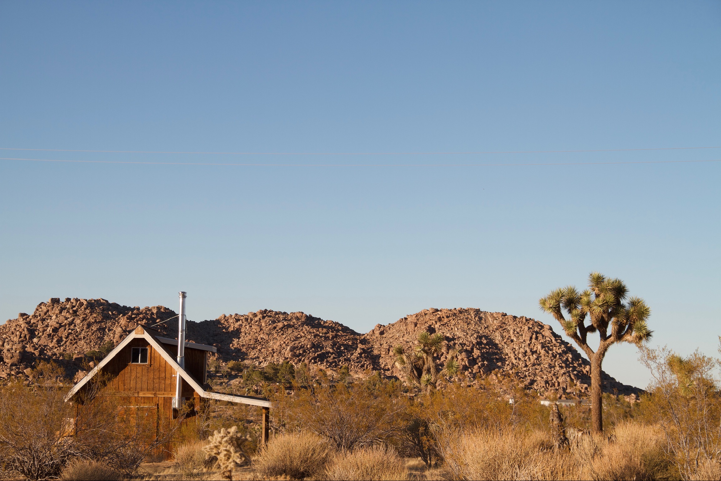 Desert cabin with Joshua tree
